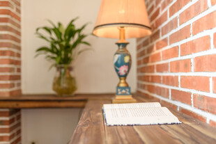 砖墙边的台灯与绿植摆件
