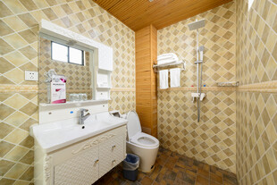 复古风卫生间室内设计图