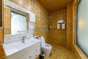 复古风格卫生间室内景象