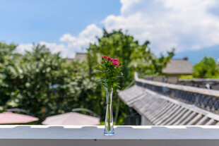 屋顶花瓶中的娇艳花朵