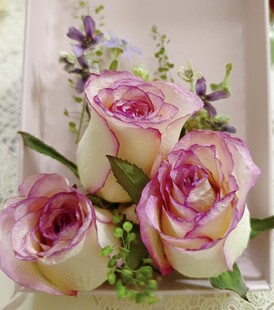 干花 粉紫玫瑰花卉静物图