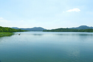 杭州西湖碧波美景