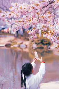 女孩赏樱拍照