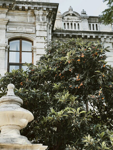 古典建筑旁的绿植景观