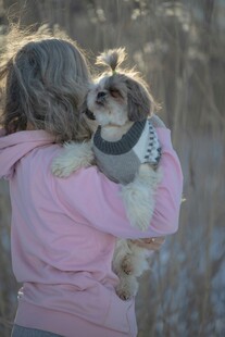 女子抱可爱小狗沐浴阳光