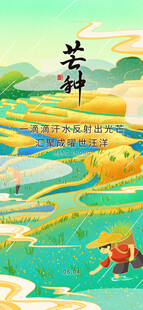 芒种 
