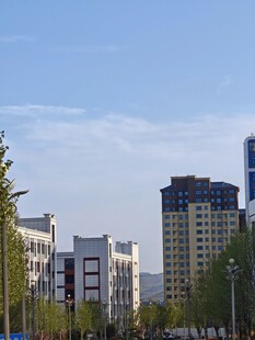 城市街景中的高楼与绿树