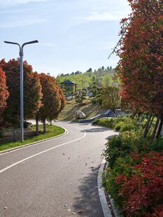 秋日林间的静谧蜿蜒道路
