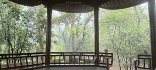 林中古亭