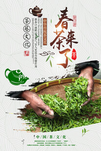 春茶来了
