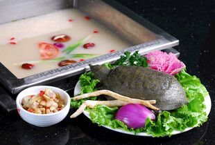 甲鱼美食摆盘展示