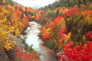 秋日河谷绚烂红叶美景