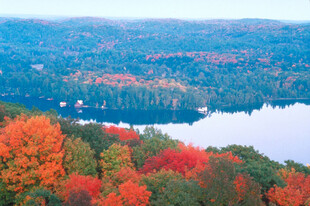 秋日湖畔斑斓红叶美景