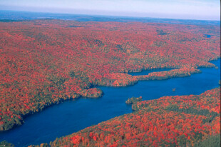秋日湖景红叶壮美风光