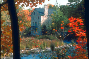 秋日枫林中的静谧小屋