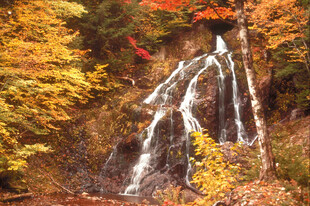 秋日山林中的壮美瀑布