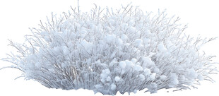 覆雪灌木景观