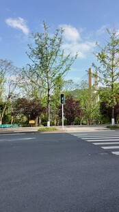 宽阔平整的户外沥青路面