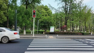 城市道路上的车辆与斑马线