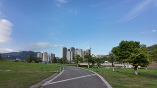 城市公园绿意盎然风景图