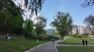 城市公园中的休闲漫步场景