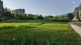 城市中的绿地景观