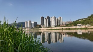 湖畔高楼映景