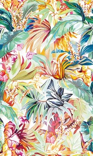 手绘热带大叶子