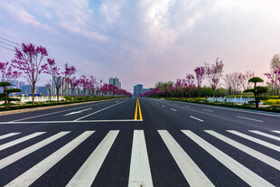 春日繁花盛开的宽阔马路