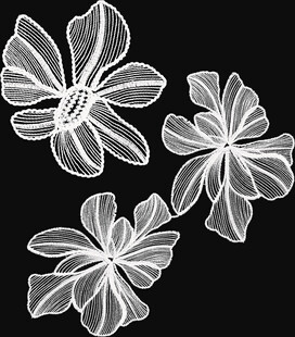 白色蕾丝花朵刺绣图案