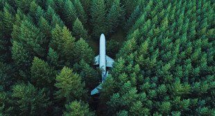 森林中的飞机残骸