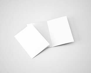 A5空白双折页设计展示样机