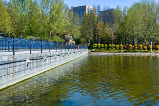 城市中静谧的水边风景