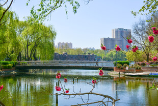 春日湖畔美景