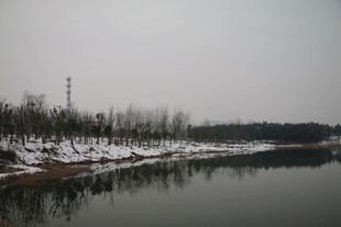 冬日河畔雪景