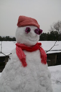 可爱雪人戴着红帽红围巾