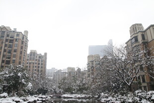 雪后小区景观