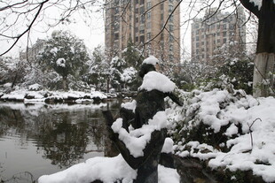 雪后园林景致