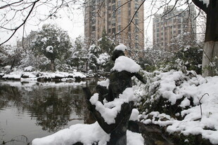 雪覆园林景