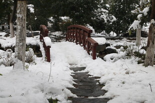 雪覆小径与红桥的美景