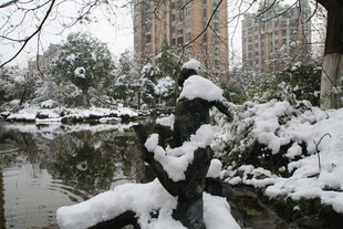 雪覆园林景致如画