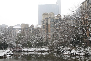 雪后河畔的静谧城市景观