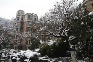 雪后小区景致