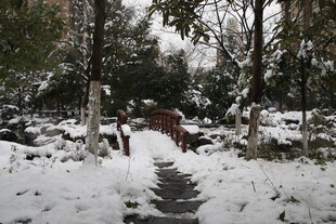 雪覆山林间的静谧小道
