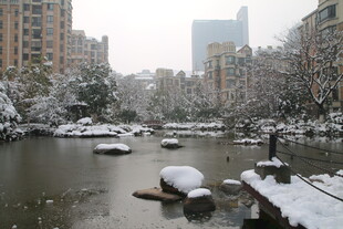 雪后城市河畔静谧景致