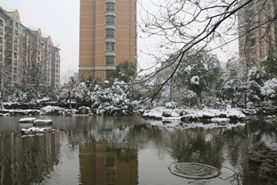 雪后小区水景静谧之美
