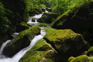 山间溪流穿石过