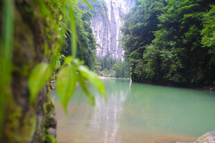 清幽河谷中的绿意景致