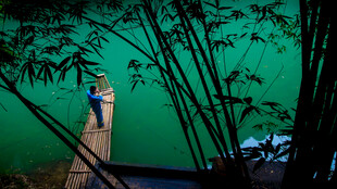 竹林间的古建筑一角