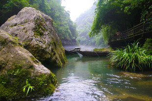 山间溪流旁的清新自然景观